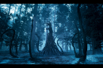 009-the-witcher-season-2_copy1.jpg